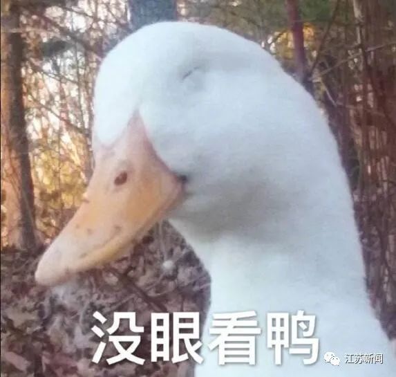 DƬ